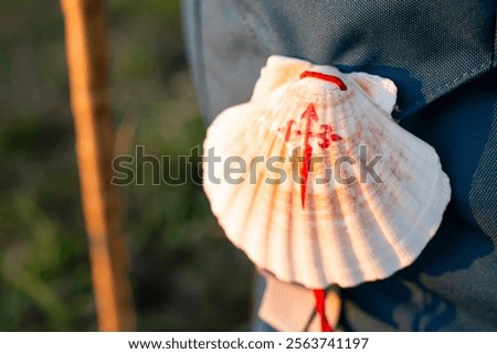 Close up of a Scallop shell with red cross of Santiago de Compostela hanging on pilgrim backpack during Camino de Santiago pilgrimage