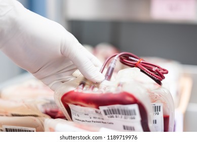Close up scientist hand holding red blood bag in storage blood refrigerator at blood bank unit laboratory.Save life and medical treatment concept.