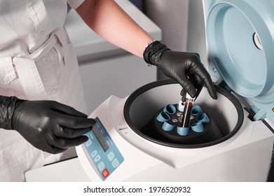 Close Up Of Scientist Hands In Black Sterile Gloves Placing Test Tube With Blood Sample In Centrifuge Machine. Female Technician Preparing Material For Plasmolifting. Concept Of Clinical Medicine.