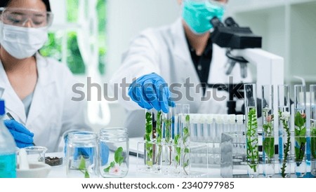 Close up of scientist is picking, working and comparing a plant or herb in test tube or glassware. Natural product and organic cosmetic health care. eco laboratory microbiology. Experiment test.