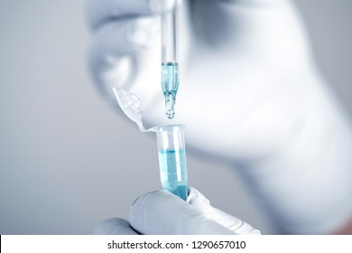 Close up a scientist working in laboratory to analyze blue extracted of DNA  molecules in micro tube , clinical or science testing analysis concept