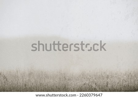Close up of scratched and peeling white paint old wall surface, concept for abstract background and grunge texture, concrete surface pattern is damaged from aged and dampness, material crack vintage