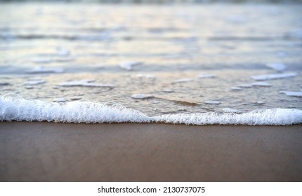 Close up of sea foam and wet sand. Botanical selective focus. High quality photo - Shutterstock ID 2130737075