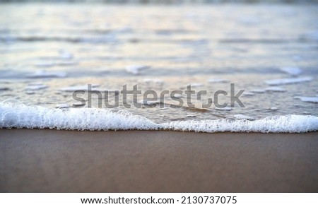 Close up of sea foam and wet sand. Botanical selective focus. High quality photo