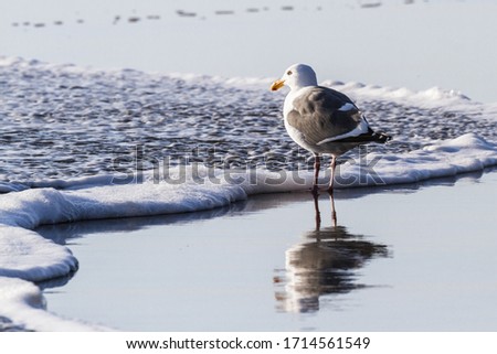 Similar – Foto Bild Der Tag geht zu Ende