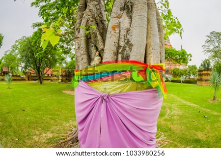 Close up of selective focus of beautiful Buddha in a tree in Ayutthaya Province