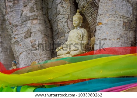 Close up of selective focus of beautiful Buddha in a tree in Ayutthaya Province