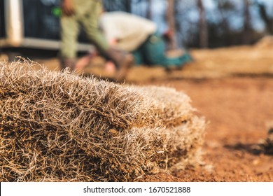 Close Up Selective Focus Shot Of A Pile Of Brown Dormant Sod Grass Laying On The Dirt Ground In Wintertime At A Landscaping Job Site With Crew Members Working In The Background Out Of Focus 