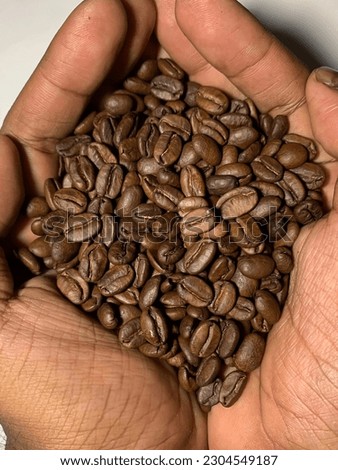 Close up selective focus of two hands full of medium roast coffee beans