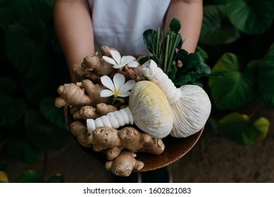 close up set of Thai herbs and spa massage, ginger, herbal compress ball, lemon grass, kaffir lime leaves, Lemon leaves and Frangipani flowers - Shutterstock ID 1602821083