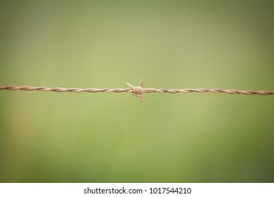 Close up shallow depth of field image of barbed wire