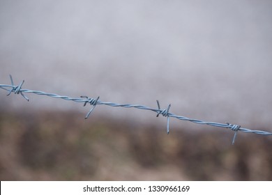 Close up of sharp barbed metal wire.