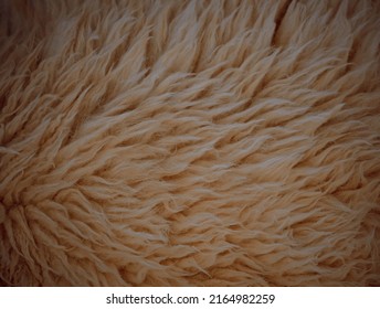 Close Up Sheepskin Texture Background.sheepskin.