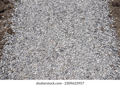 Close up Shell walking path. Broken seashells, shells. Texture background, pattern. 
