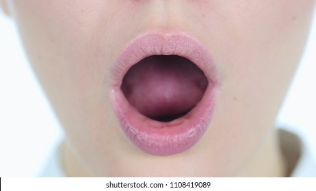Close Up of Shocked, Surprised G White Background - Shutterstock ID 1108419089