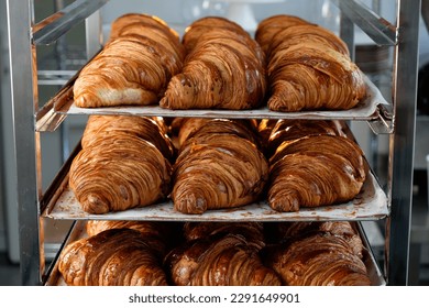 Close up shoot of freshly baked croissants are in tray after leaving the oven for customers on breakfast in a commercial kitchen - Powered by Shutterstock