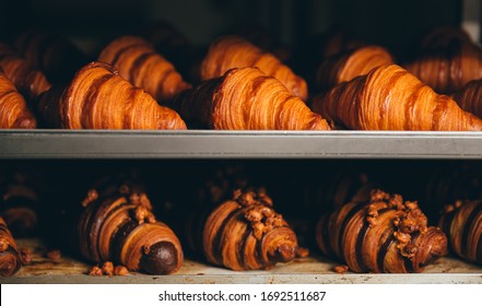 Close up shoot of freshly baked in oven chocolate croissants on tray in the bakery - Powered by Shutterstock