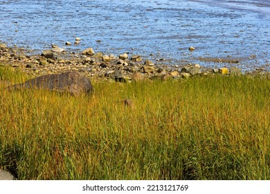 Close Up Of The Shore Of Plymouth Harbor In Massachusetts.