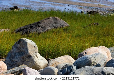 Close Up Of The Shore Of Plymouth Harbor In Massachusetts.