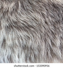 close up shot of abstract gray  fur background