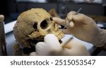 Close up shot of archaeologist in gloves cleaning skull of ancient human under lamp using professional tool and brush. Scientist prepares fossil remains for scientific research in archaeological lab.