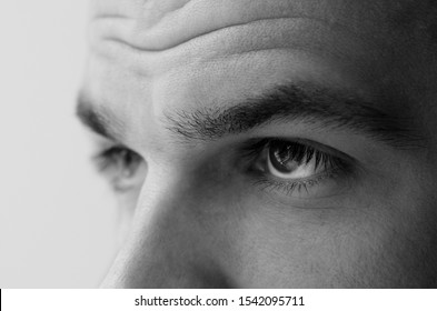 Close Up Shot Of Attractive  Male Eyes, Thick Eyebrows And Wrinkled Forehead. Black And White Photography