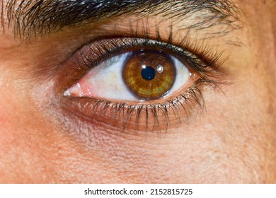 The close up shot of beautiful human eye.