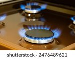 Close up shot of blue fire from domestic kitchen stove top. Gas cooker with burning flames of propane gas. Gas supply chain and news. Global gas crisis
