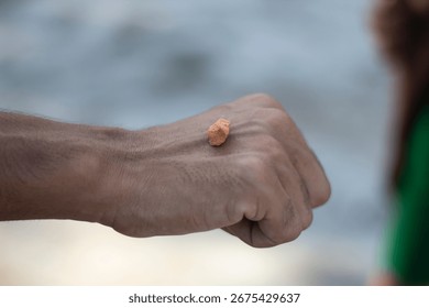 A close up shot captures a tiny, vibrant orange seashell perched delicately on the knuckles of a person's clenched fist, with a softly blurred background suggesting an outdoor setting.