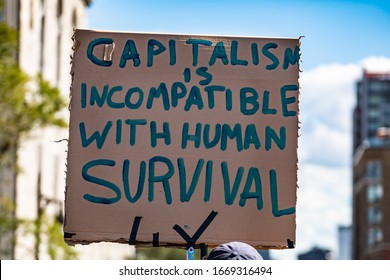 A close up shot of a cardboard sign saying capitalism is incompatible with human survival, as environmental activists stage a rally on a city street