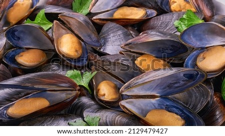 Close up shot of cooked mussels. Close up boiled black mussels with herbs.