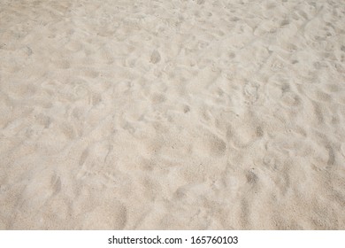 Close Up Shot Of Coral Sand