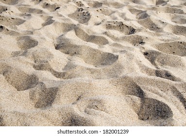 Close Up Shot Of Coral Sand