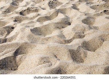 Close Up Shot Of Coral Sand