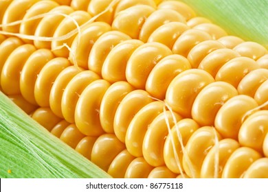 Close Up Shot Of Corn.