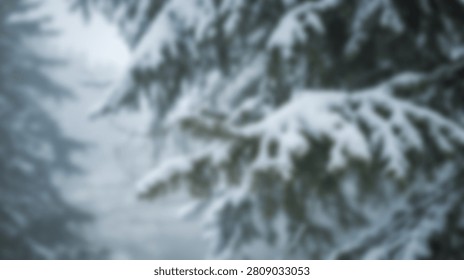 A close up shot of evergreen pine tree branches covered in fresh snow during a winter day in a forest.