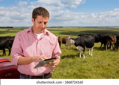 A close up shot of a farmer standing next to a truck and using a tablet in a sunny rural field with cattle in background. - Shutterstock ID 1868724160