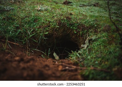 Close up shot of a fox hole in the countryside. It is surrounded by grass. - Shutterstock ID 2253463251
