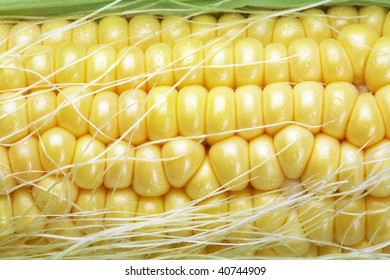 Close up shot of fresh corn.