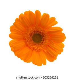 Big Round Orange Flower Stock Photo 15895453 | Shutterstock