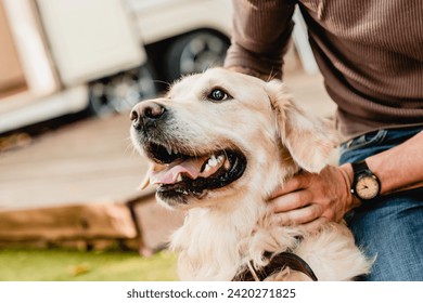 Close up shot of golden retriever with host`s hands with wristwatch. Male pet owner playing walking his domestic animal dog outdoors in a park forest - Powered by Shutterstock