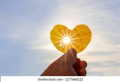 Close Up Shot Of Hand Holding Yellow Leaf Of Heart Shape With Sun Rays Shining Through It At Light Blue Sky Background. I Love Autumn Concept. Copy Space