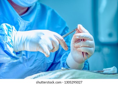 Close Up Shot Of Hands Of Female Surgeon During The Operation. Healthcare, Medical Education, Surgery Concept