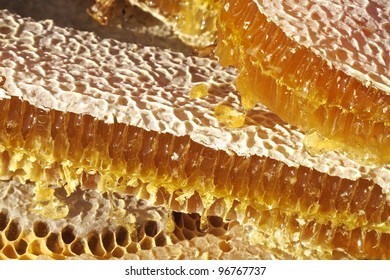 3,971 Beehive Symmetry Images, Stock Photos & Vectors | Shutterstock