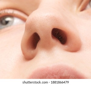 Close Up Shot Of Human Nose, Macro