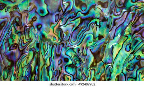 close up shot the iridescent of abalone shell texture background in HD ratio, 16x9