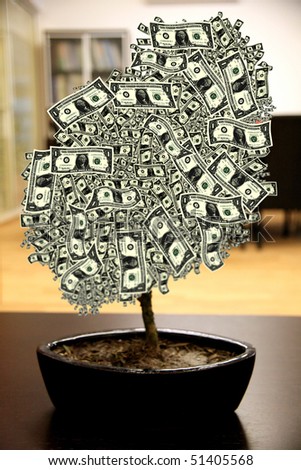 close up shot of a japanese tree with dollarbill