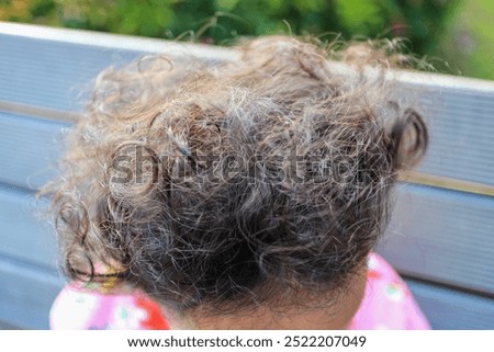 Similar – Image, Stock Photo undercover Bengel II Grass