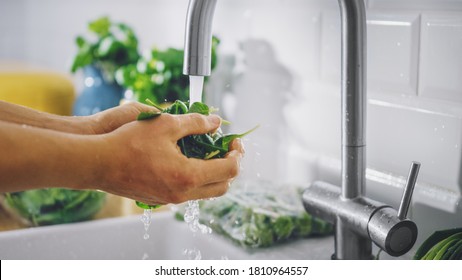 Close Up Shot  Of A Man Washing Green Spinach Leaves With Tap Water. Authentic Stylish Kitchen With Healthy Vegetables. Natural Clean Products From Organic Farming Washed By Hand.