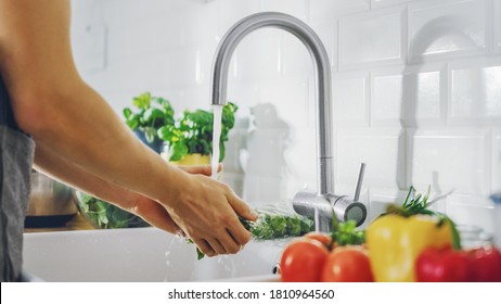 Close Up Shot of a Man Washing Green Spinach Leaves with Tap Water. Authentic Stylish Kitchen with Healthy Vegetables. Natural Clean Products from Organic Farming Washed by Hand. - Powered by Shutterstock